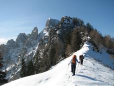 Klik za večjo sliko